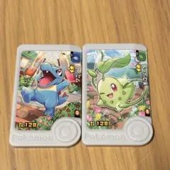 匿名配送❤️ ポケモンフレンダ チコリータ ワニノコ アートピック