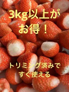 トランプ様　3Lサイズ　2Lサイズ　やよいひめ　いちご　300g✖️8 やよいひめ 3Lサイズ 2パック入り 順次発送 - ECサイト「和銅農園」