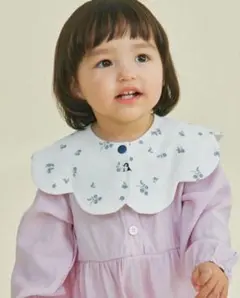 コニー スタイ ブルーベリー