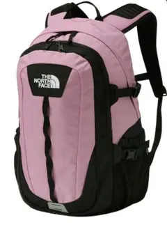 ノースフェイス ラウンディ キッズ リュック 22L スモーキーグレープ