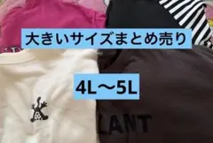 4点セット 4L5L 大きいサイズ まとめ売り レディース スウェット