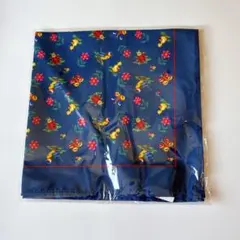 Item thumbnail for item 1eb616bb-04dd-43e1-aa88-fb84b7d43e2f