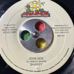 3739 レゲエ レコード 7インチ SHAGGY