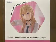その着せ替え人形は恋をする 喜多川海夢 BIGぬーどるストッパー