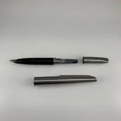 廃番 プラチナ 蝕刻 万年筆 18K 2本まとめ売り 廃番 PLATINUM プラチナ 18K 蝕刻 ストライプ 万年筆 ショート - メルカリ