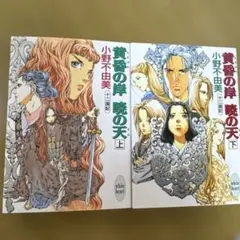 黄昏の岸 暁の天(そら)上下 十二国記