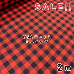 ★SALE★USAコットン シーチング9㎜チェック プリント2m