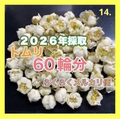 2026年最新】キウイフルーツ 花粉の人気アイテム - メルカリ