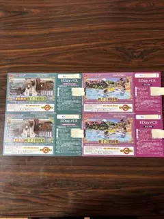 サマーランド￼1Dayパス 4枚セットのサムネイル