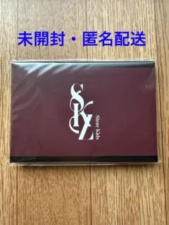 Stray kids フォトカードセット 2024クリスマス ポップアップ