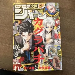 Item thumbnail for item 9efd1115-f7ba-44ee-9ff2-6db1c3e17b57