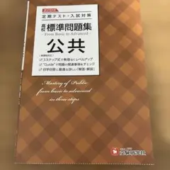 高校 標準問題集 公共 受験研究社