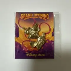 ディズニー ディズニーストア ミッキーマウス ピン ピンズ