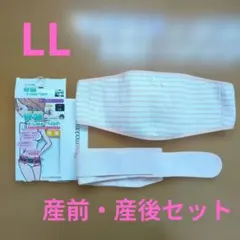 ピジョン　マタニティベルト・骨盤ベルト　産前・産後セット LL