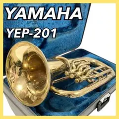 2026年最新】YEP201の人気アイテム - メルカリ