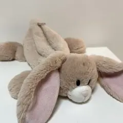 2026年最新】NiCI ペンケース タレミミウサギの人気アイテム - メルカリ