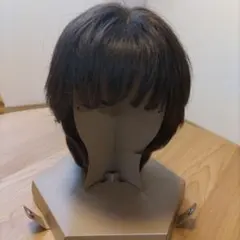 2026年最新】医療用ウィッグ スヴェンソンの人気アイテム - メルカリ