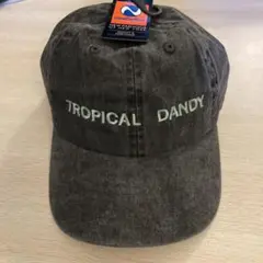 細野晴臣　Tropical Dandy キャップ
