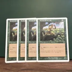 MTG 天光を求める者 Seeker of Skybreak 4枚 7ed 旧枠 - メルカリ