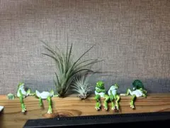 【未使用品】カプセルトイ　ふちやすみ　アマガエル　「腕組み」と「たそがれ」の2匹