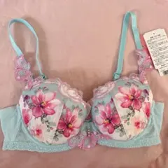 ワコール ルジェ C65 ブラジャー