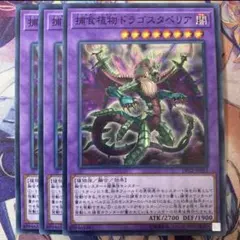 遊戯王　捕食植物ドラゴスタペリア