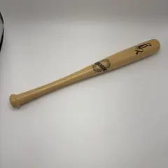中日ドラゴンズ 立浪和義 ミニバット サイン入り（印刷） 背番号3 新品