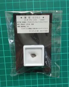 カンポ・デル・シエロ 隕石 ミニミニ 標本