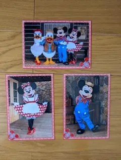 ディズニースペシャルフォト　ウエスタン　ミッキー　ミニー　ドナルド　デイジー