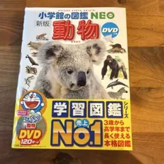 動物