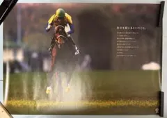 2025年最新】ポスター ディープインパクト jraの人気アイテム - メルカリ