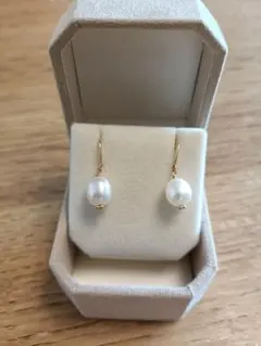 Item thumbnail for item 037ebe62-7904-4501-97c6-d1c13817c7eb