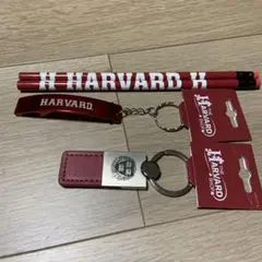 HARVARD 鉛筆 キーホルダー セット