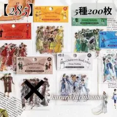 【285】シール 人物 レトロ 女性 コラージュ素材 PET 装飾 5種200枚