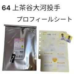 即購入⭕️ ソフトバンクホークス　上茶谷大河投手　プロフィールシート