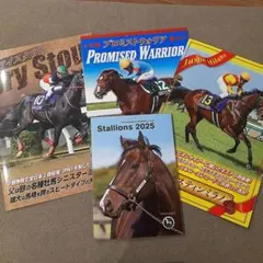 Item thumbnail for item 813cd0e9-33fa-4150-9e2b-5313b40287d8