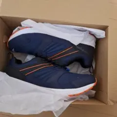 Item thumbnail for item e0bd5911-5b74-4e74-9bbf-523e8842783e