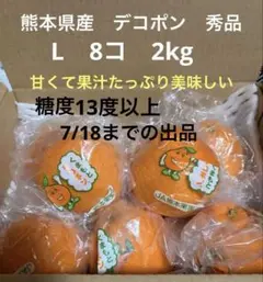 熊本県産　デコポン　秀品　L 8コ　2kgのサムネイル