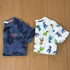 葉柄・恐竜柄 Tシャツセット 2枚セット 130サイズ