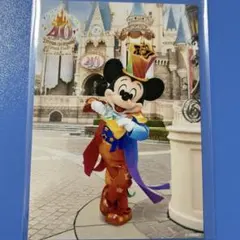 ディズニー TDL スペシャルフォト 2024 40周年 ミッキー 1枚