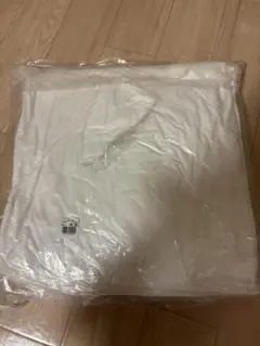 クッション　45×45