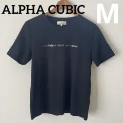 値下げ！美品⭐︎ALPHA CUBICシルバーロゴ　黒 半袖 TシャツMのサムネイル