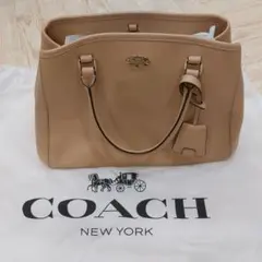 Item thumbnail for item 498c5e52-088e-4e17-8870-59b3e5a3e0de