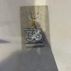 ポケチャーム