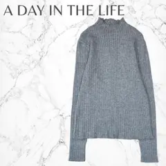 アデイインザライフ　着回し抜群　ハイネック　タイトめ　リブ　長袖ニット　良品