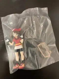 ポケモン スケールワールド ハルカ（RS ver）