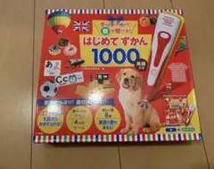 はじめてずかん1000 ※箱のみ