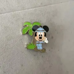 【まとめ買い対応】ディズニーランド限定ピンバッジ