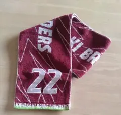 川崎ブレイブサンダース