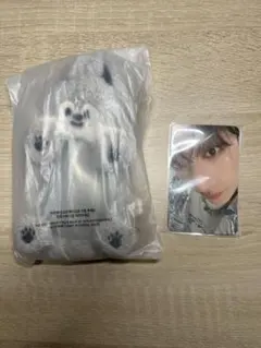 StrayKids ペンミ トレカケース リールホルダー　バンチャン